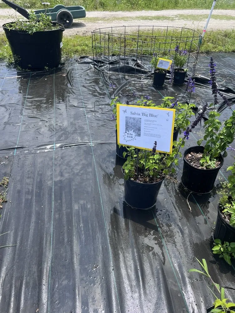 Expert garden landscaping for year-round maintenance across Saint Augustine, FL - S & J Tree Farm and Nursery Inc.