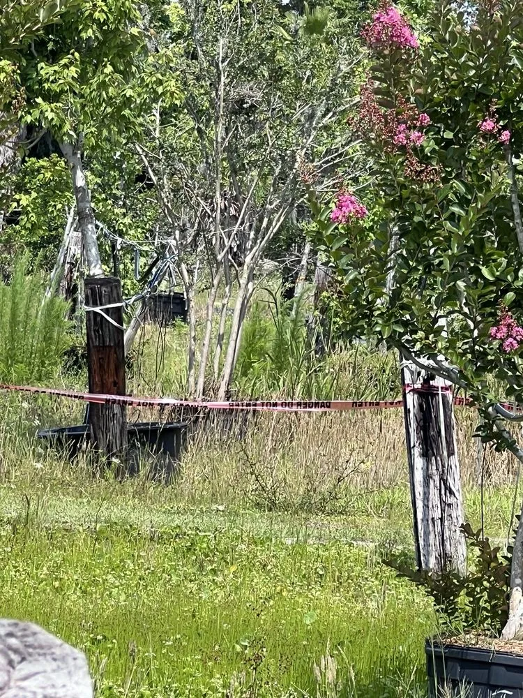 Affordable garden landscaping experts serving Saint Augustine, FL - S & J Tree Farm and Nursery Inc.