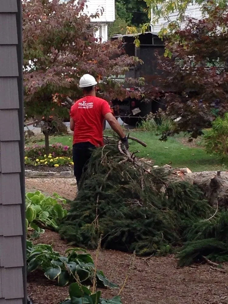 Local landscaping services experts serving Rockland, MA - S & J Tree Service, Landscaping, Snow Removal