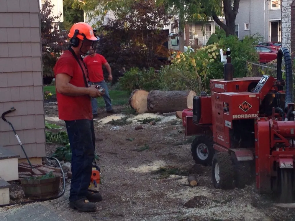 Reliable lawn mowing service for beautiful yards across Rockland, MA - S & J Tree Service, Landscaping, Snow Removal