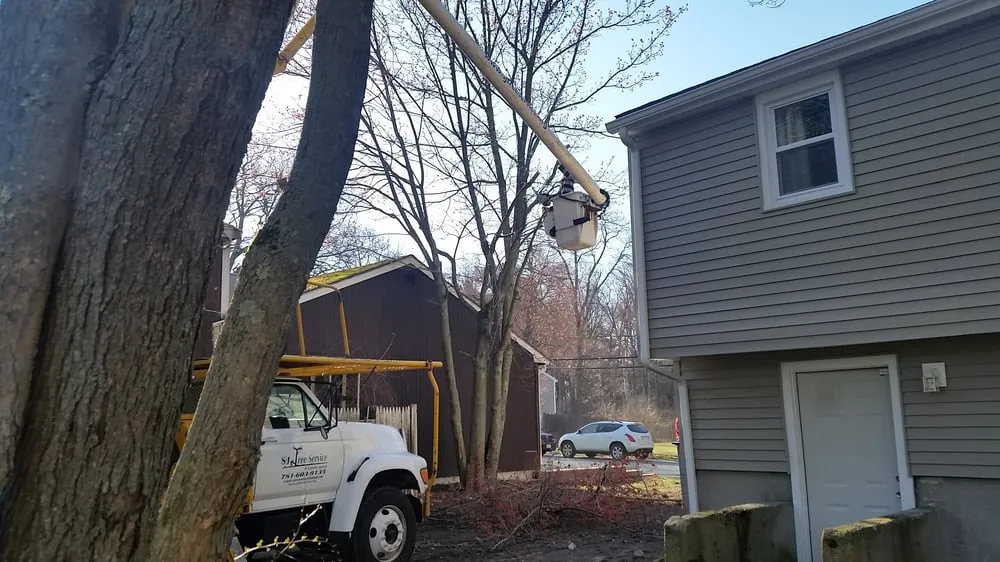 Reliable landscaping services for homes in Rockland, MA by S & J Tree Service, Landscaping, Snow Removal