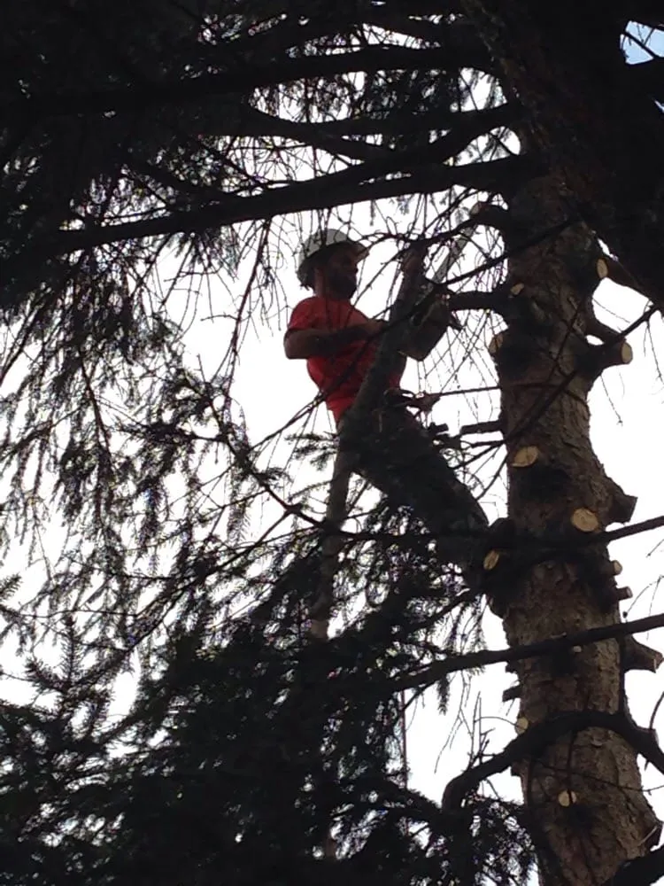 Affordable residential landscaping in Rockland, MA - S & J Tree Service, Landscaping, Snow Removal