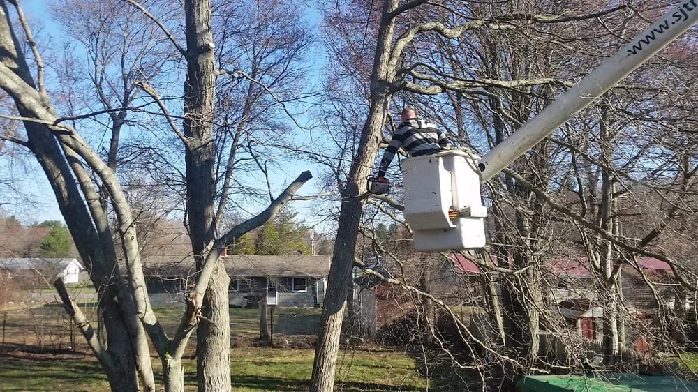 Affordable residential landscaping for outdoor upgrades across Rockland, MA - S & J Tree Service, Landscaping, Snow Removal