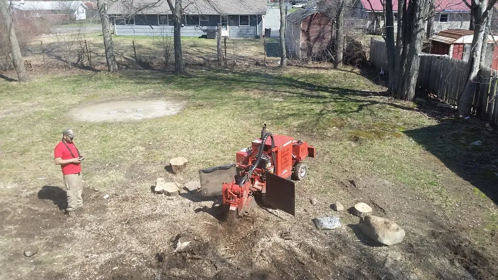 Expert landscaping services in Rockland, MA by S & J Tree Service, Landscaping, Snow Removal