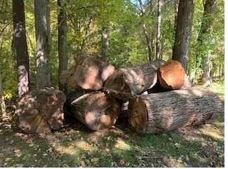 S & J Tree Service, Landscaping, Snow Removal Logo