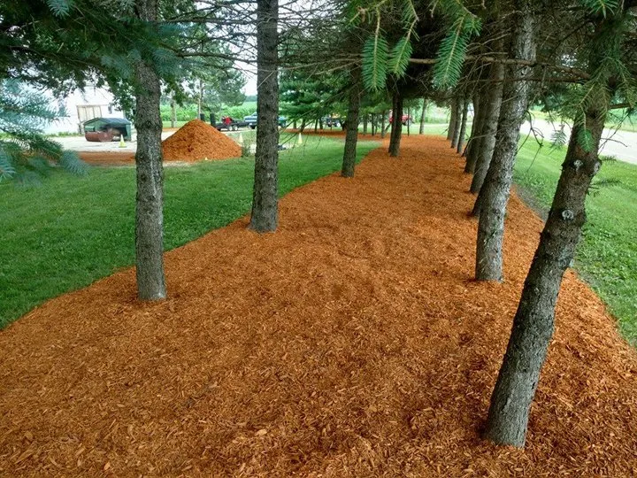 Top-rated yard maintenance in Sun Prairie, WI - S & K Automotive