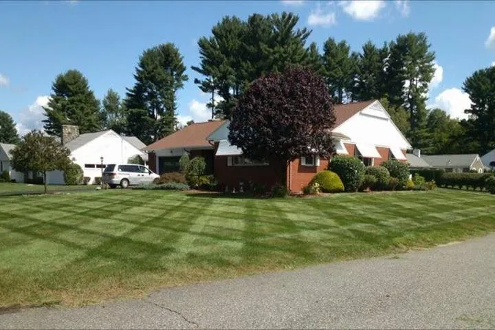 Professional lawn care service in Sun Prairie, WI by S & K Automotive
