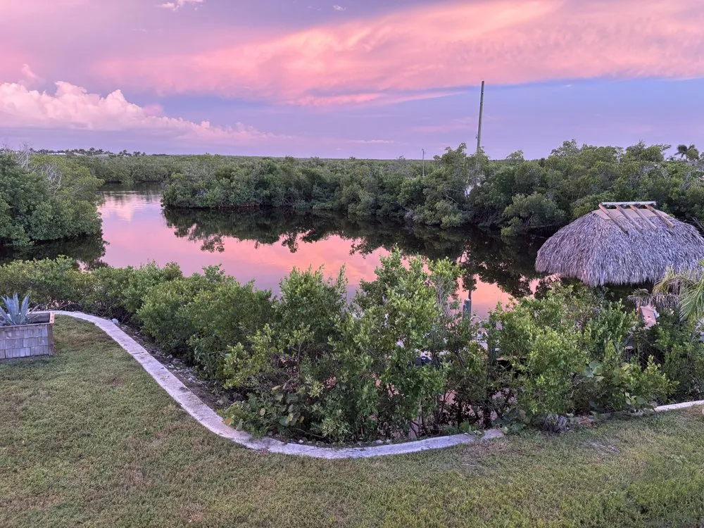 Local yard cleanup service in Punta Gorda, FL - S & K Lawn And Landscape