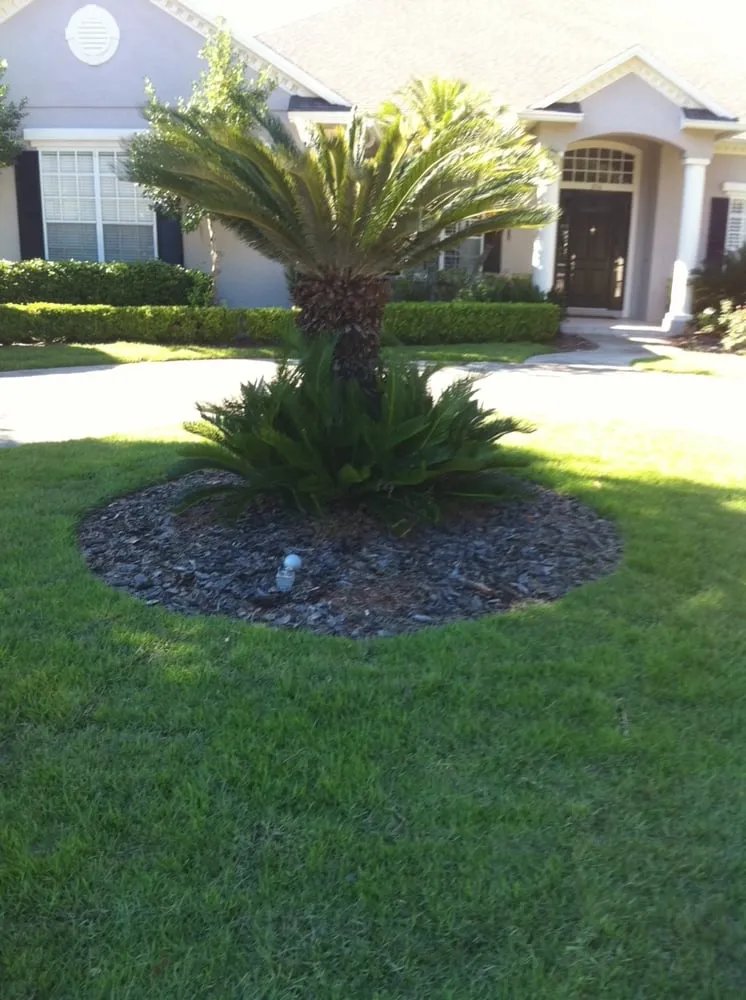 Top-rated outdoor landscaping in Saint Cloud, FL by S & K Sod Co