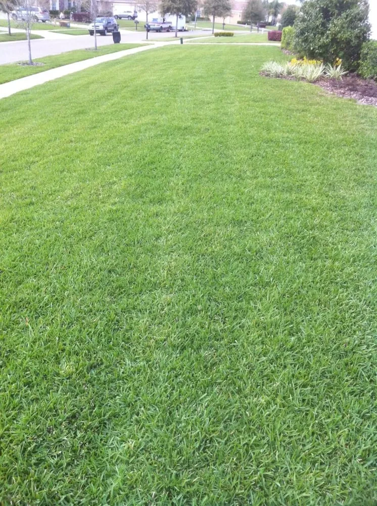 Reliable landscaping services in Saint Cloud, FL - S & K Sod Co