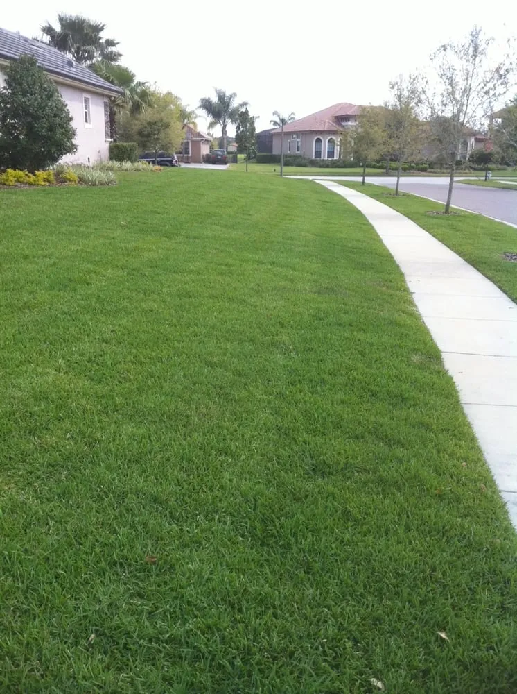 Affordable yard maintenance experts serving Saint Cloud, FL - S & K Sod Co