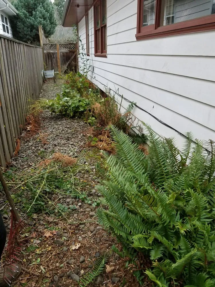 Expert lawn care service in Portland, OR by S & M Landscape Maintenance