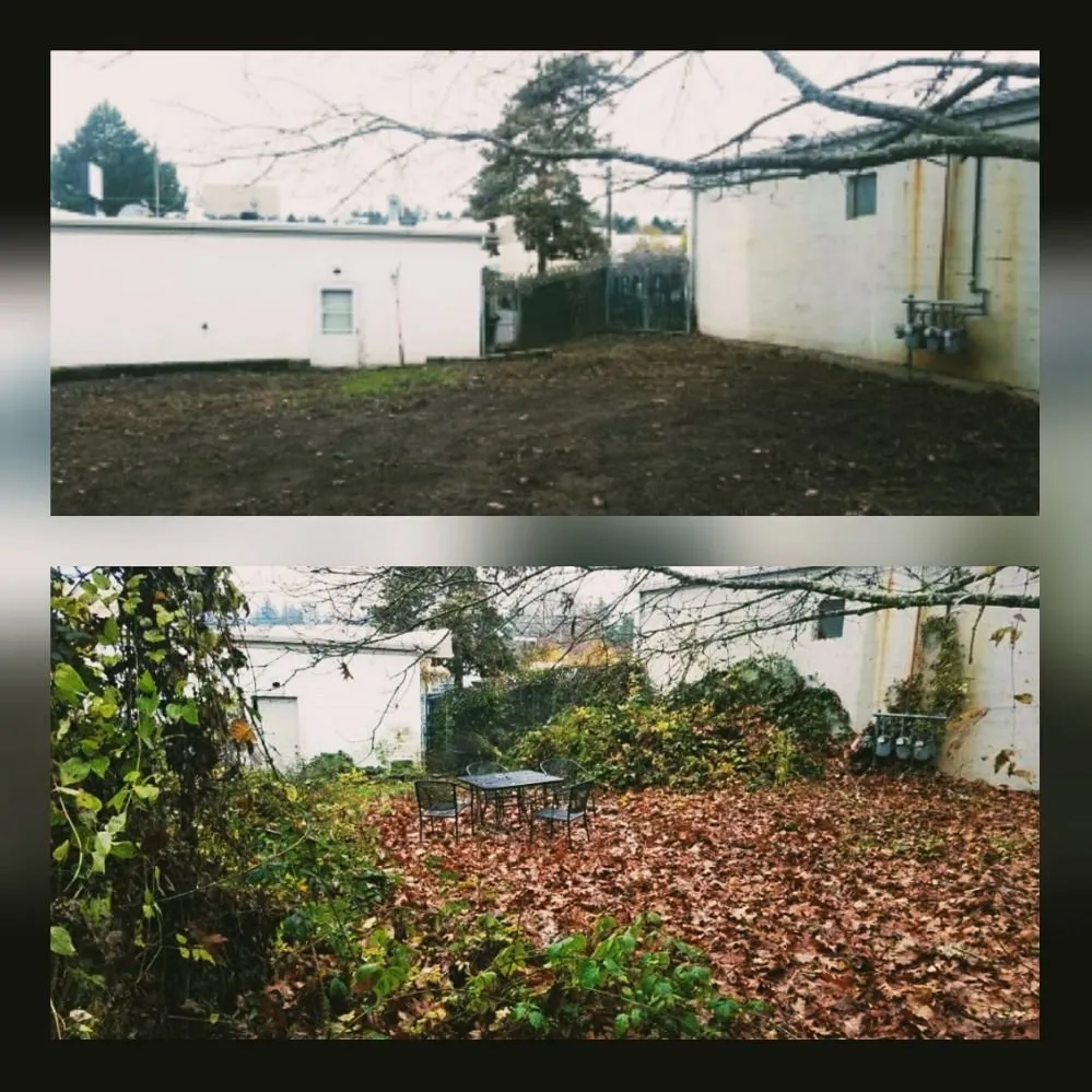 Local yard maintenance in Portland, OR - S & M Landscape Maintenance