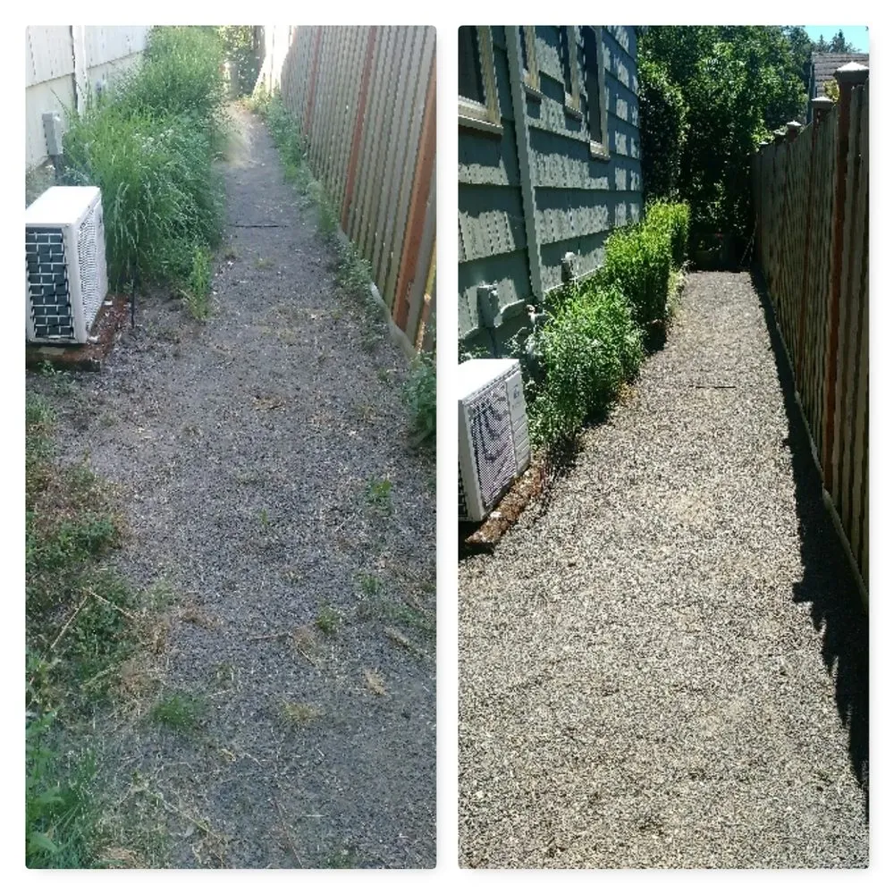 Top-rated lawn mowing service in Portland, OR by S & M Landscape Maintenance