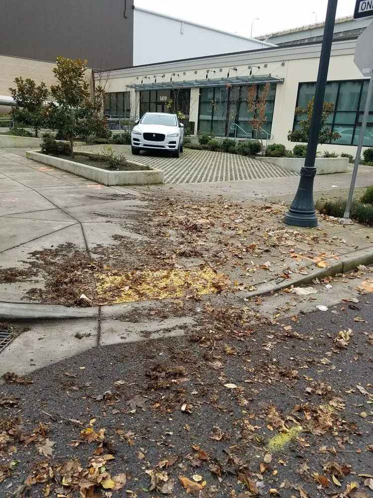 Expert lawn care service in Portland, OR by S & M Landscape Maintenance