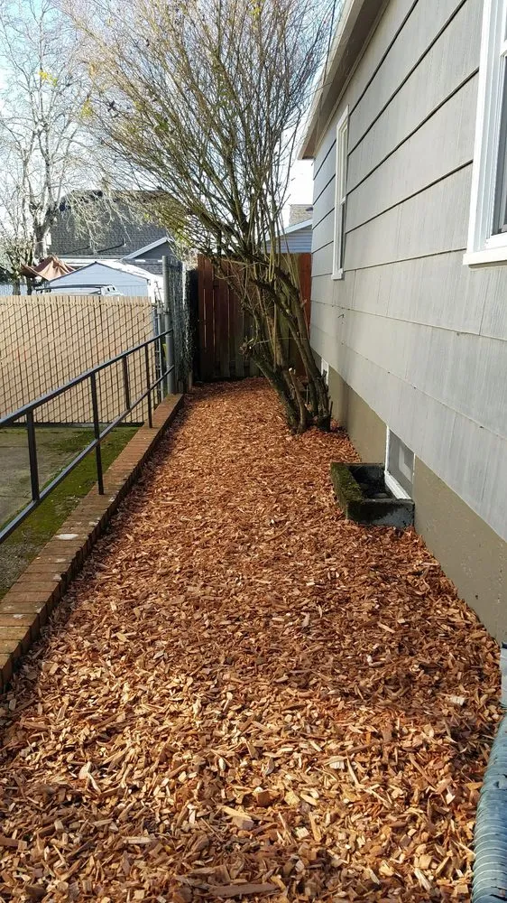 Custom yard cleanup service in Portland, OR - S & M Landscape Maintenance