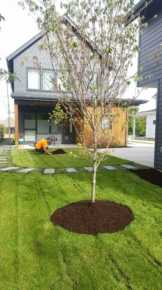 Top-rated outdoor landscaping for homes in Portland, OR by S & M Landscape Maintenance