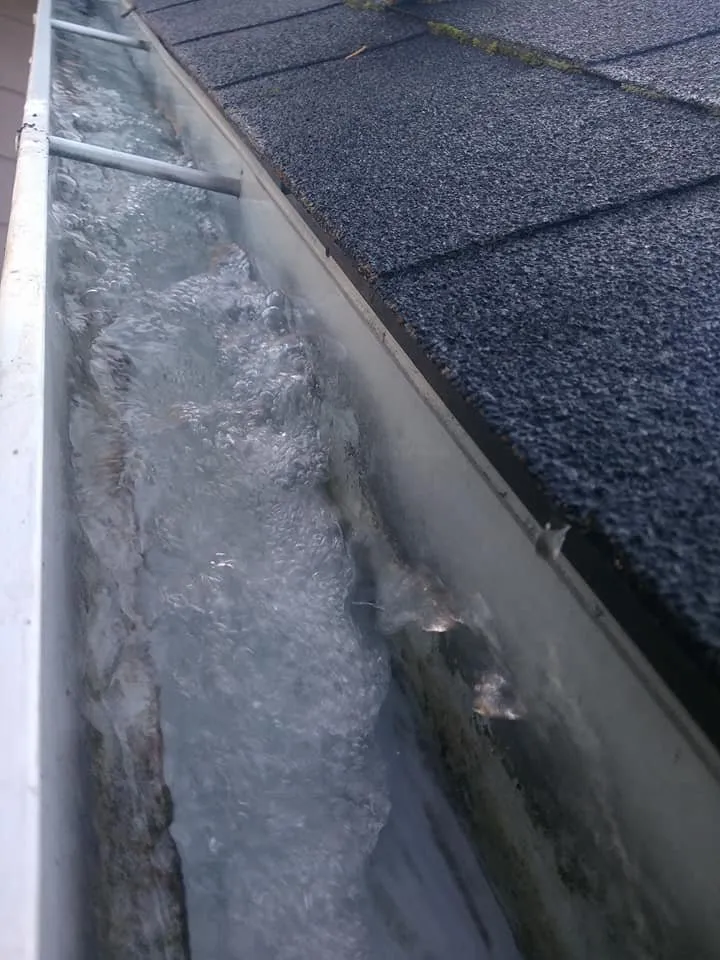 Expert yard maintenance for residential properties in Portland, OR by S & M Landscape Maintenance