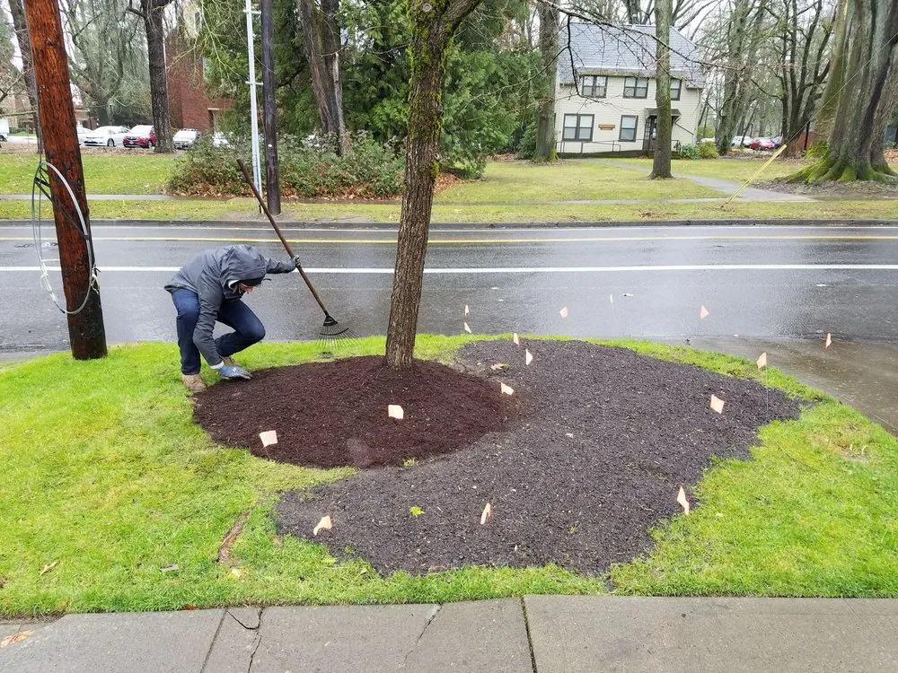 Top-rated yard maintenance with custom design across Portland, OR - S & M Landscape Maintenance
