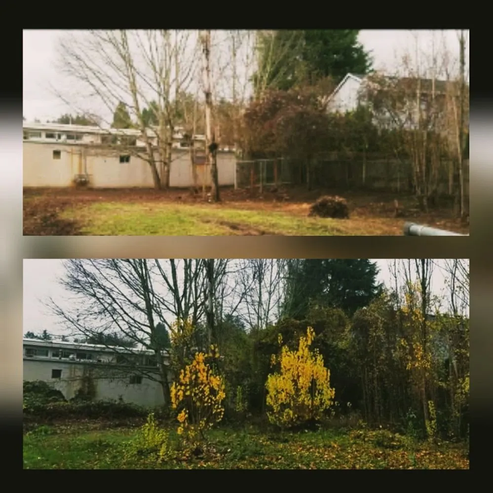 Top-rated outdoor landscaping in Portland, OR by S & M Landscape Maintenance