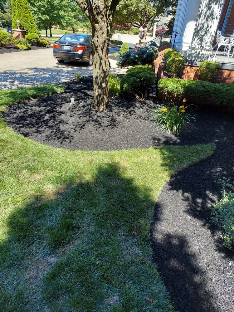 Affordable yard maintenance in Park Hills, KY - S & M Landscape