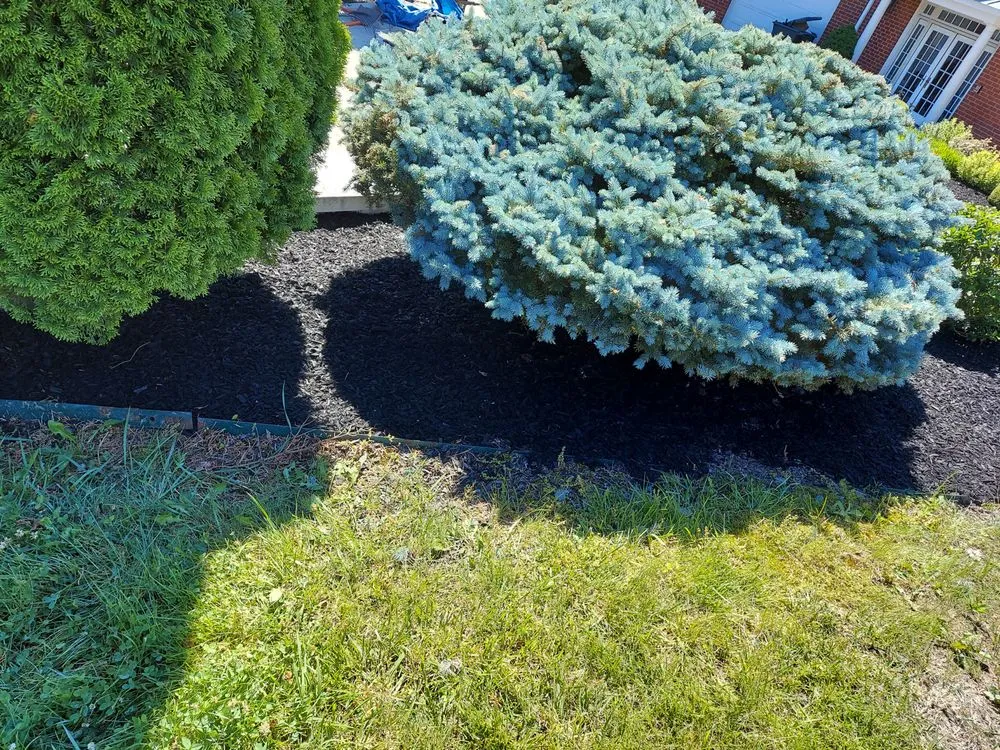 Expert outdoor landscaping for outdoor upgrades across Park Hills, KY - S & M Landscape