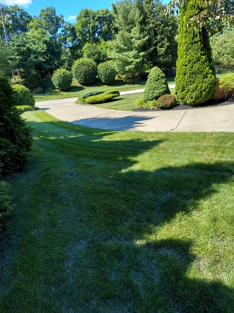 Expert landscaping services experts serving Park Hills, KY - S & M Landscape