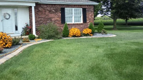 Reliable lawn care service experts serving Griffin, GA - S & M Lawncare