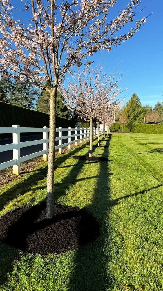 Affordable landscaping services for homes across Portland, OR - S & M Maintenance Crew