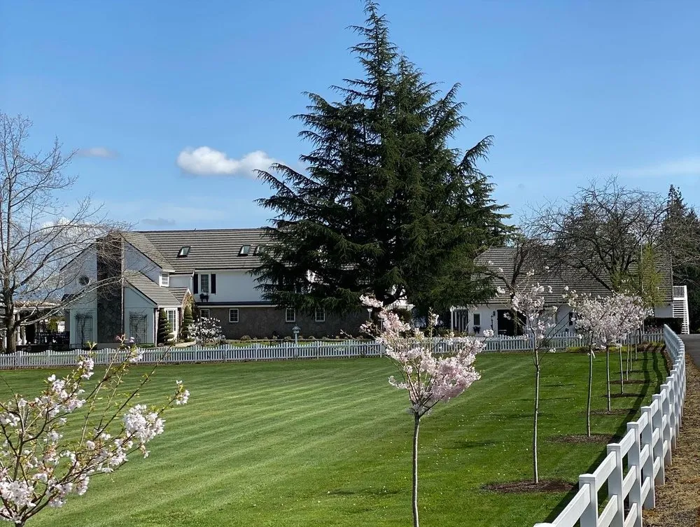 Professional residential landscaping for outdoor upgrades across Portland, OR - S & M Maintenance Crew