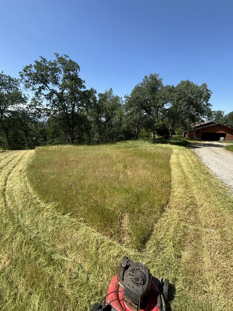 Affordable landscape design in Anderson, CA - S & M Mowing And Trimming