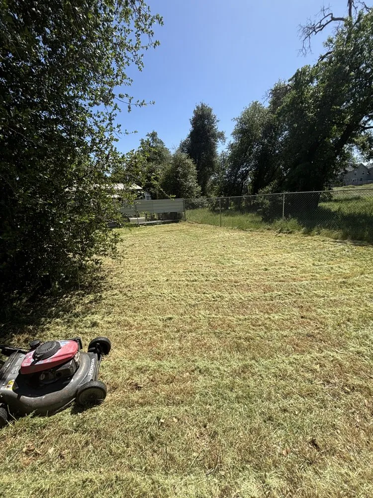Affordable yard cleanup service experts serving Anderson, CA - S & M Mowing And Trimming
