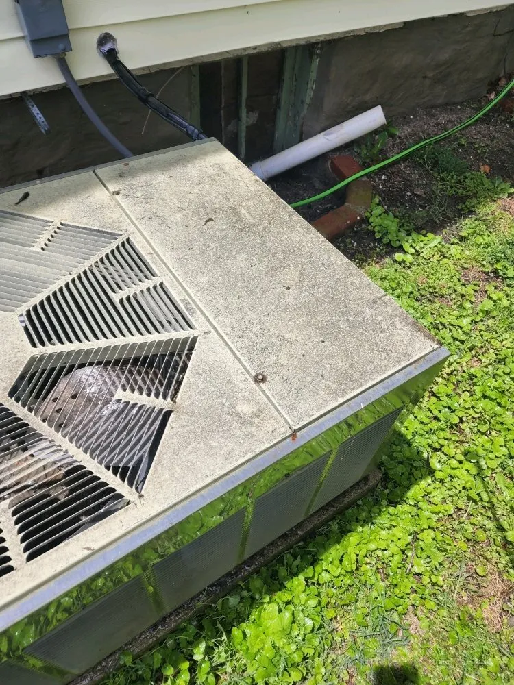 Local landscape installation experts serving Parsons, KS - S & M Power Washing and Lawn Care