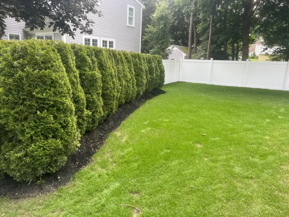 Affordable lawn mowing service in Holbrook, MA - S & M Tree Services