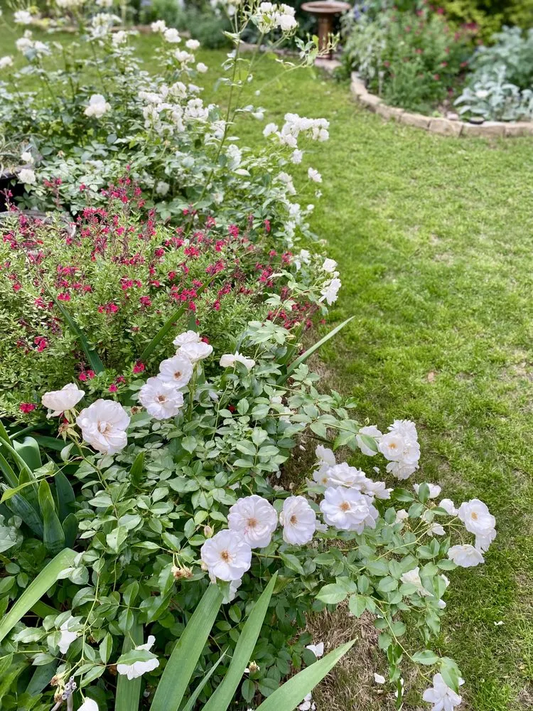 Top-rated landscape design experts serving McKinney, TX - S & N Landscaping