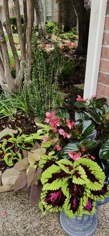 Affordable garden landscaping for beautiful yards across McKinney, TX - S & N Landscaping