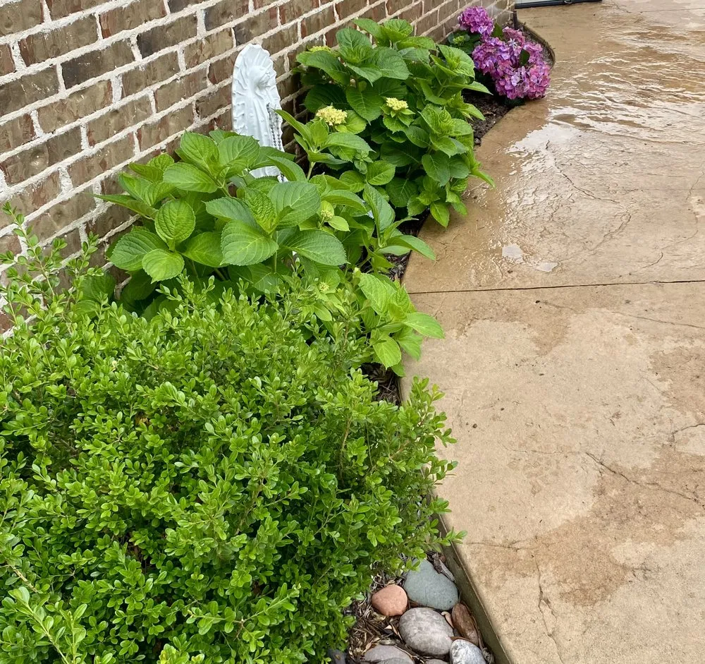 Reliable lawn mowing service experts serving McKinney, TX - S & N Landscaping