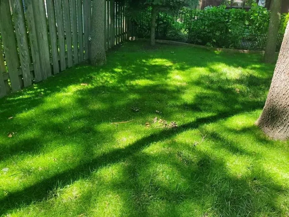 Reliable landscaping services experts serving Bismarck, ND - S & P Construction Services