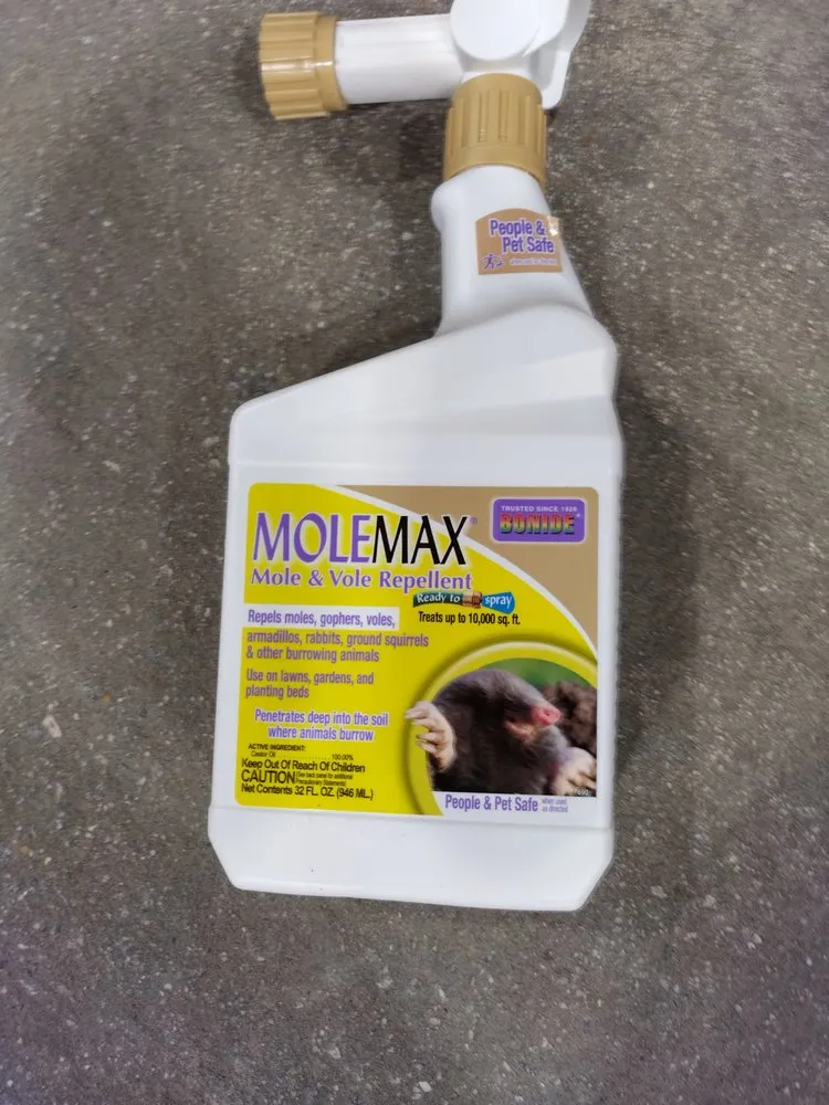 Custom yard maintenance with custom design across Irmo, SC - S & P landscaping