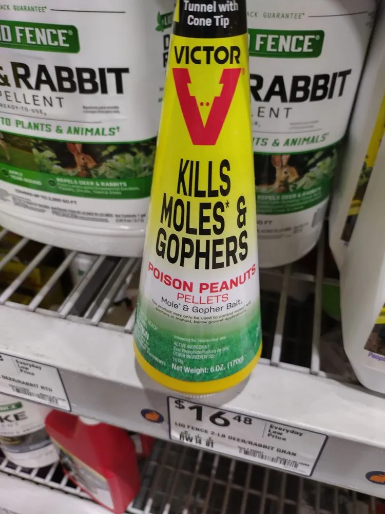 Affordable landscaping services near you in Irmo, SC by S & P landscaping