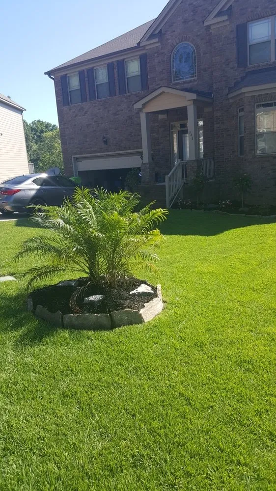 Professional residential landscaping experts serving Irmo, SC - S & P landscaping