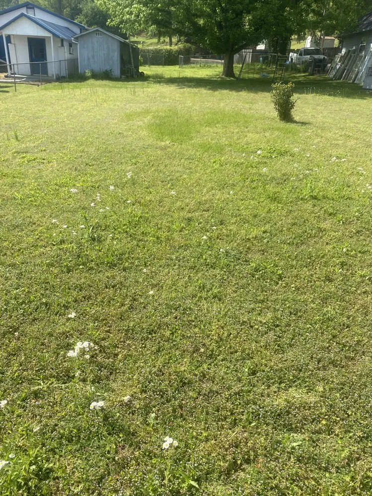 Custom landscape design for residential properties in Bridgeport, AL by S & R Landscaping