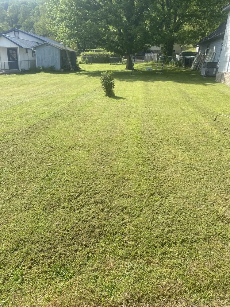 Local landscape design for year-round maintenance in Bridgeport, AL by S & R Landscaping