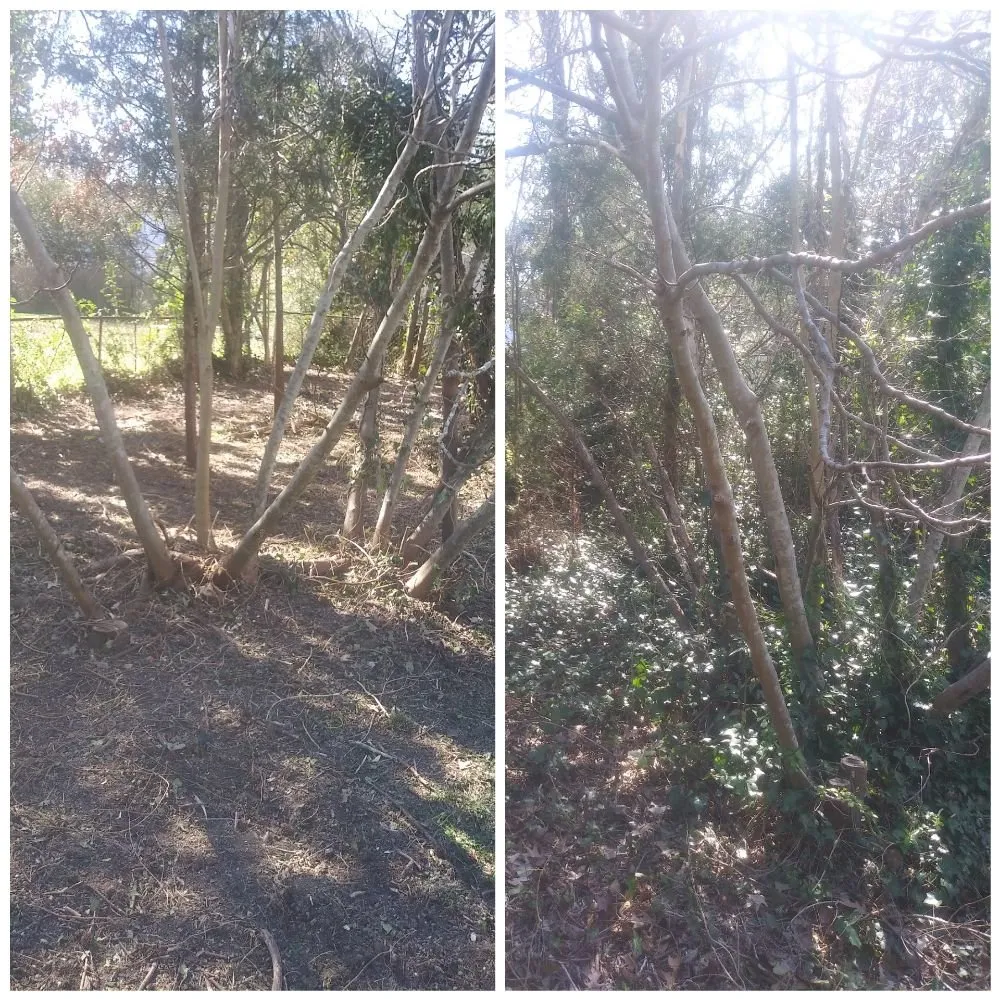 Expert garden landscaping in Suffolk, VA - S & R Premium Landscaping Services