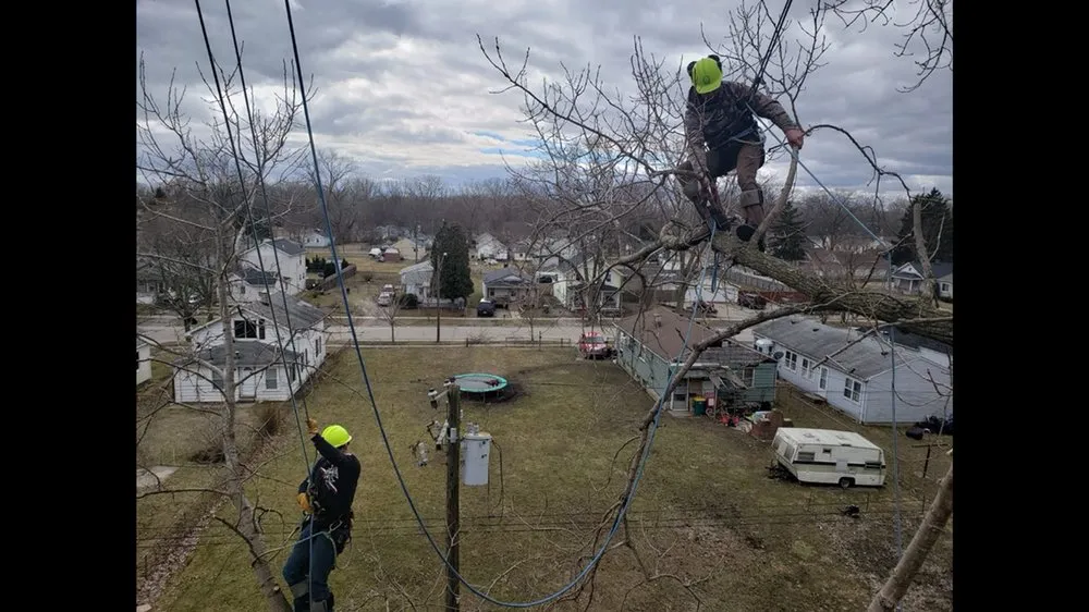 Reliable lawn mowing service with custom design in Hazard, KY by S & R tree trimin