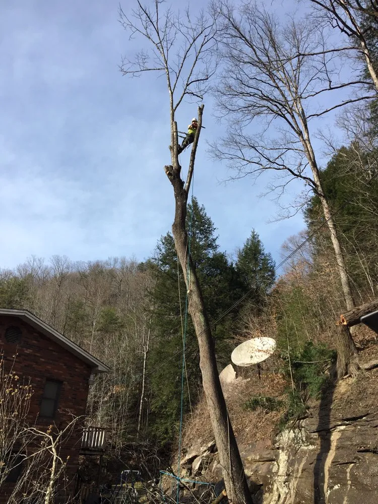 Professional garden landscaping in Hazard, KY by S & R tree trimin