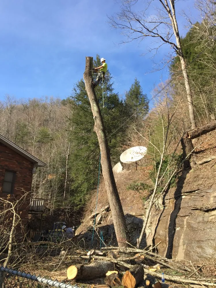 Professional landscape installation in Hazard, KY - S & R tree trimin