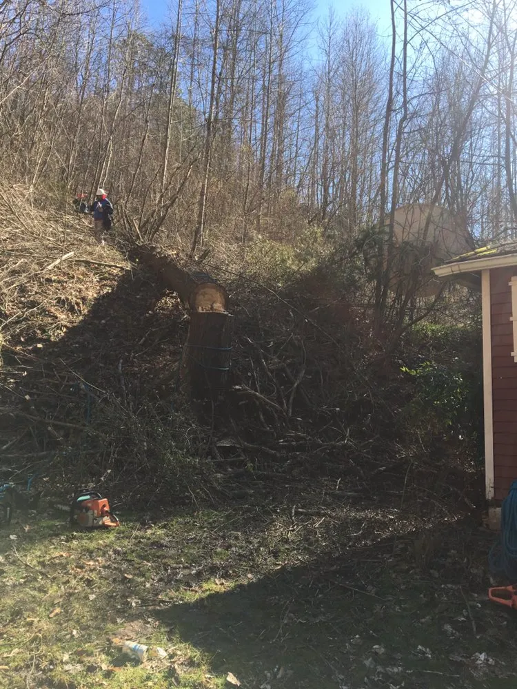 Custom outdoor landscaping experts serving Hazard, KY - S & R tree trimin