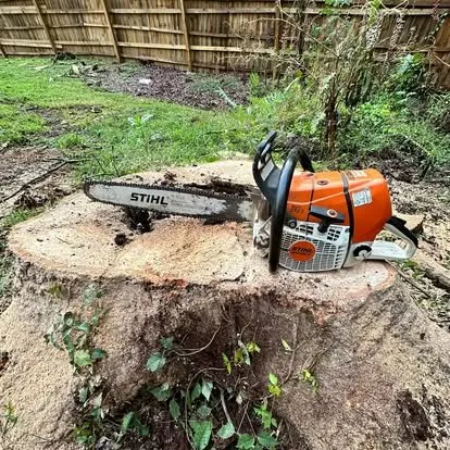 Professional garden landscaping for beautiful yards across Atlanta, GA - S & S 365 Landscape