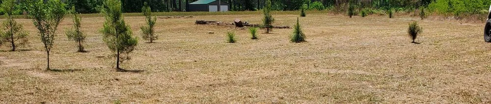 Local landscape design in Maxton, NC by S & S Brothers Lawn Care Services